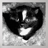 Stille Beobachter Poster (Vorne)