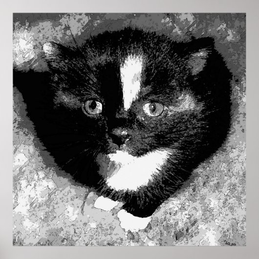 Stille Beobachter Poster (Vorne)