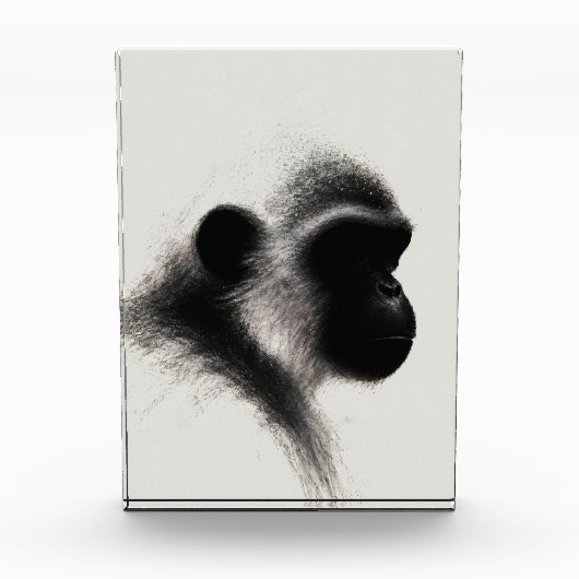Stille Beobachter-Primate-Kohle-Studie Fotoblock (Vorderseite)