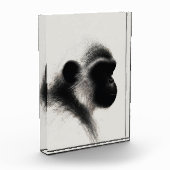 Stille Beobachter-Primate-Kohle-Studie Fotoblock (Links)