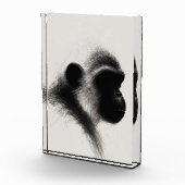 Stille Beobachter-Primate-Kohle-Studie Fotoblock (Rechts)