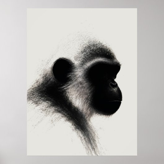 Stille Beobachter-Primate-Kohle-Studie Poster (Vorne)