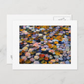 "Stille Bewegung" Postkarte (Vorne/Hinten)