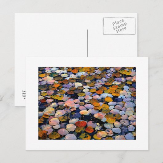 "Stille Bewegung" Postkarte (Vorne/Hinten)