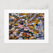 "Stille Bewegung" Postkarte (Vorderseite)