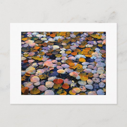 "Stille Bewegung" Postkarte (Vorderseite)