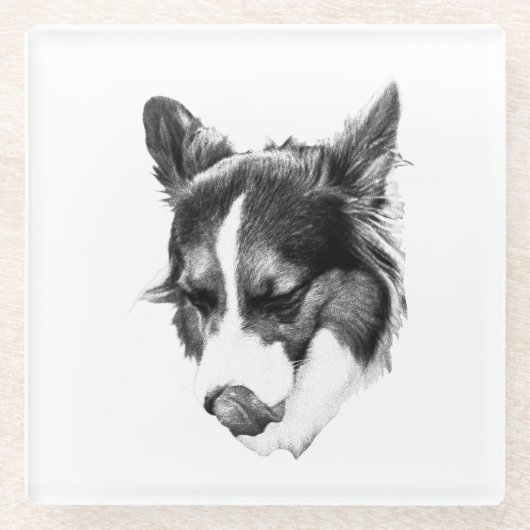 Stille Canine Expression Glasuntersetzer (Vorderseite)