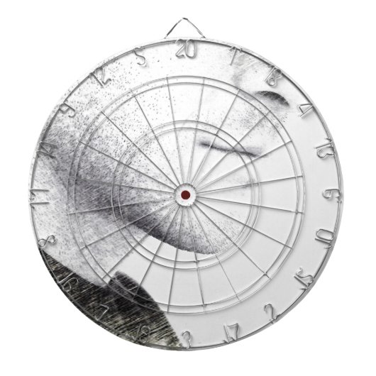 Stille Dartscheibe (vorne)
