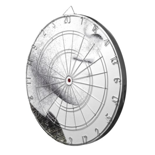 Stille Dartscheibe (Vorderseite rechts)