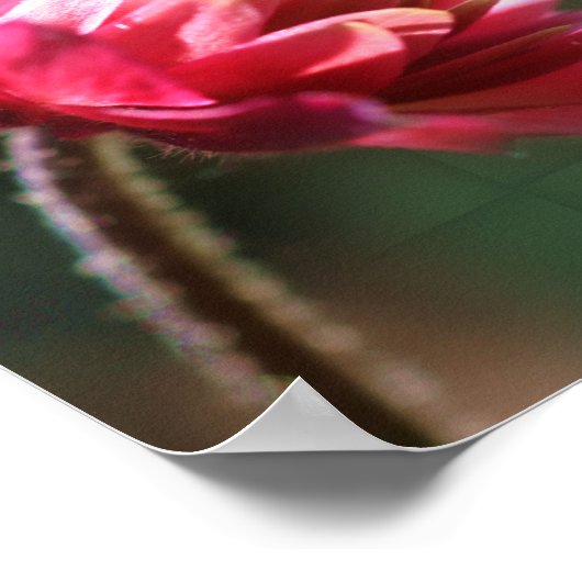 Stille Gebet Inspiration Blume Poster (Ecke)