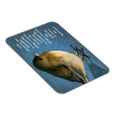 Stille Gebete: Junco. Farbstiftkunst Magnet (Rechte Seite)