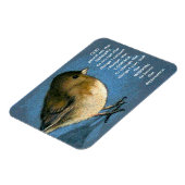 Stille Gebete: Junco. Farbstiftkunst Magnet (Linke Seite)