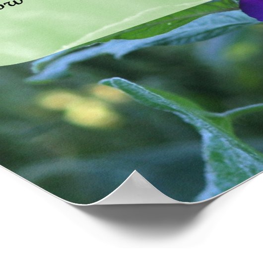 Stille Gebete Morning Glory Inspiration Poster (Ecke)