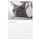 Stille Katze Kalender (Feb 2027)