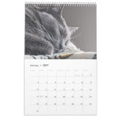 Stille Katze Kalender (Jan 2027)