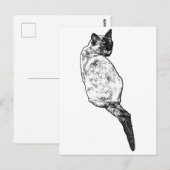Stille Katze, sanfte Grüße Postkarte (Vorne/Hinten)