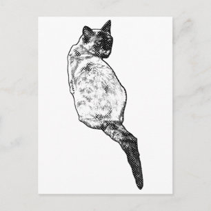 Stille Katze, sanfte Grüße Postkarte