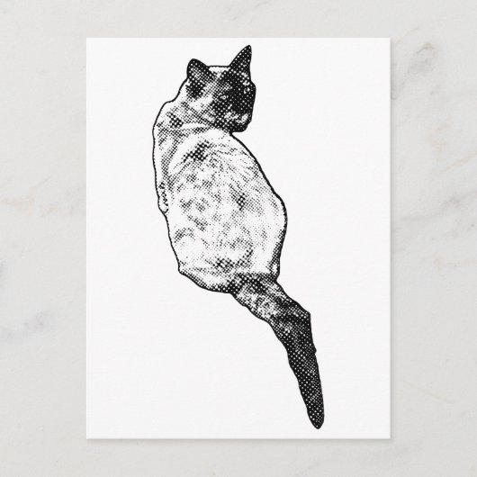 Stille Katze, sanfte Grüße Postkarte (Vorderseite)