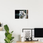 Stille Kraft - Weißer Tiger im Schatten Poster (Heimbüro)