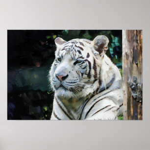 Stille Kraft - Weißer Tiger im Schatten Poster