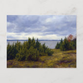 Stille Küste von Vormsi Postkarte (Vorderseite)