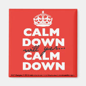 stille Magnete Magnet (Vorne)