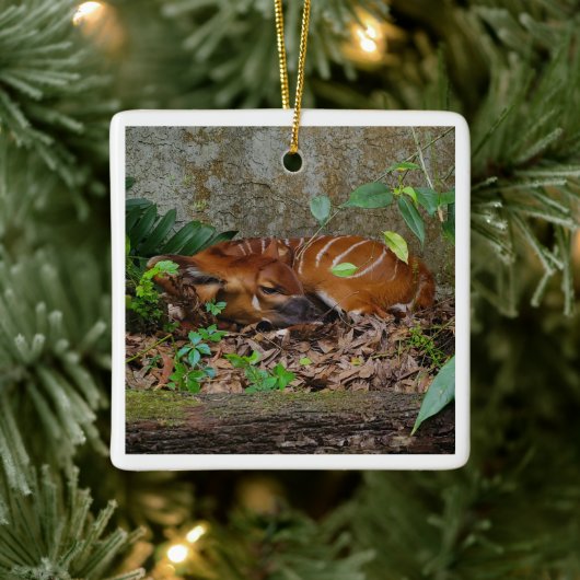 Stille Nacht Berg Bongo Antelope Calf Keramikornament (Baum)