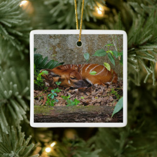 Stille Nacht Berg Bongo Antelope Calf Keramikornament