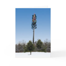 Stille Nacht (nicht)