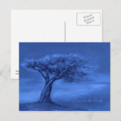 Stille Nachtkarte Postkarte (Vorne/Hinten)
