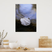 Stille Poster (Küche)