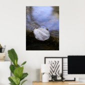 Stille Poster (Heimbüro)