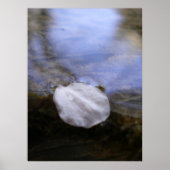 Stille Poster (Vorne)