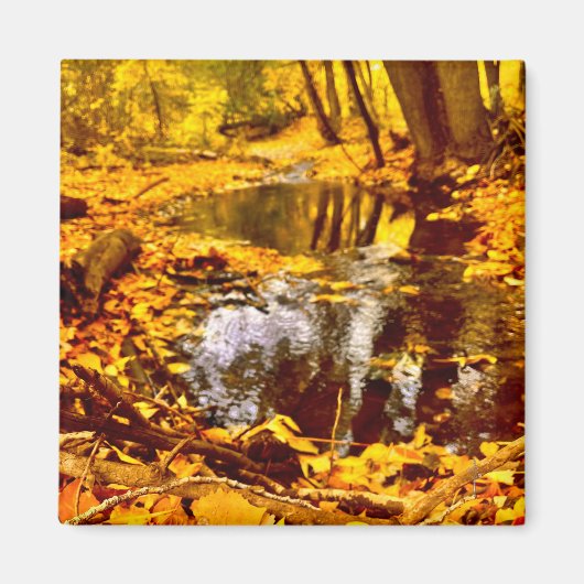 Stille Reflexion Magnet (Vorne)