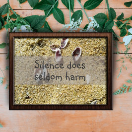 Stille schadet selten Weisheit Sprichwort Poster