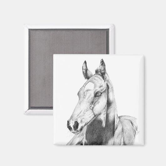 Stille Sicht Magnet (Vorderseite/Rückseite)