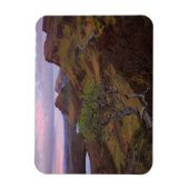 Stille Sonnenaufgangslandschaft auf dem Auge Magnet (Vertikal)