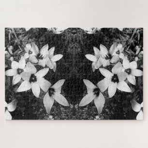 Stille Symmetrie Puzzle