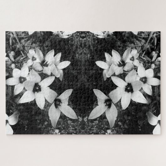 Stille Symmetrie Puzzle (Horizontal)