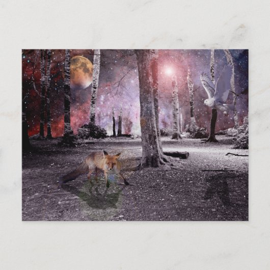 Stille Wood Postkarte (Vorderseite)