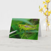 Stille Wunder leere Grußkarte Grasshopper Karte (Gelbe Blume)