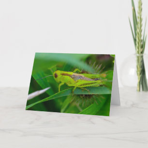 Stille Wunder leere Grußkarte Grasshopper Karte