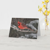 Stille Wunder leere Grußkarte Männlicher Kardinal Karte (Gelbe Blume)