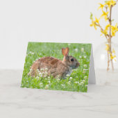 Stille Wunder leere Grußkarte Rabbit Karte (Gelbe Blume)