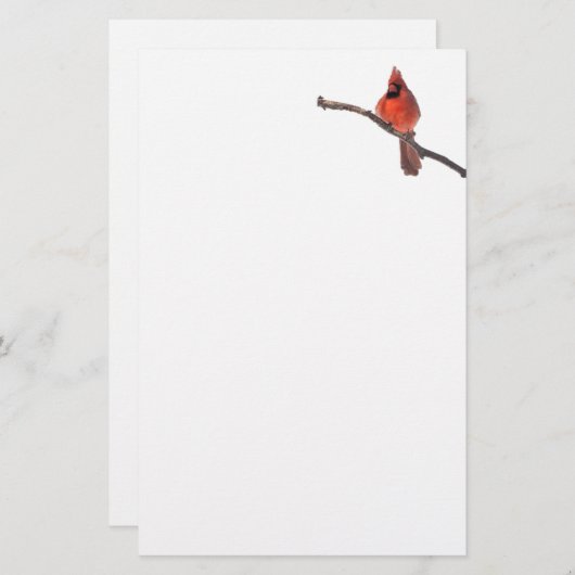 Stille Wunder stationärer Kardinal Briefpapier (Vorne/Hinten)