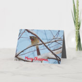 Stille Wunder Weihnachtskarte Weiblicher Kardinal Dankeskarte (Vorderseite)