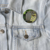 Stilleben Button (Beispiel)