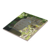 Stilleben Fliese (Seite)