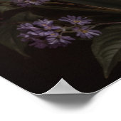 Stilleben Nummer 2 Poster (Ecke)