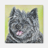 Stiller das Cairn Terrier-Gemälde Magnet (Vorne)